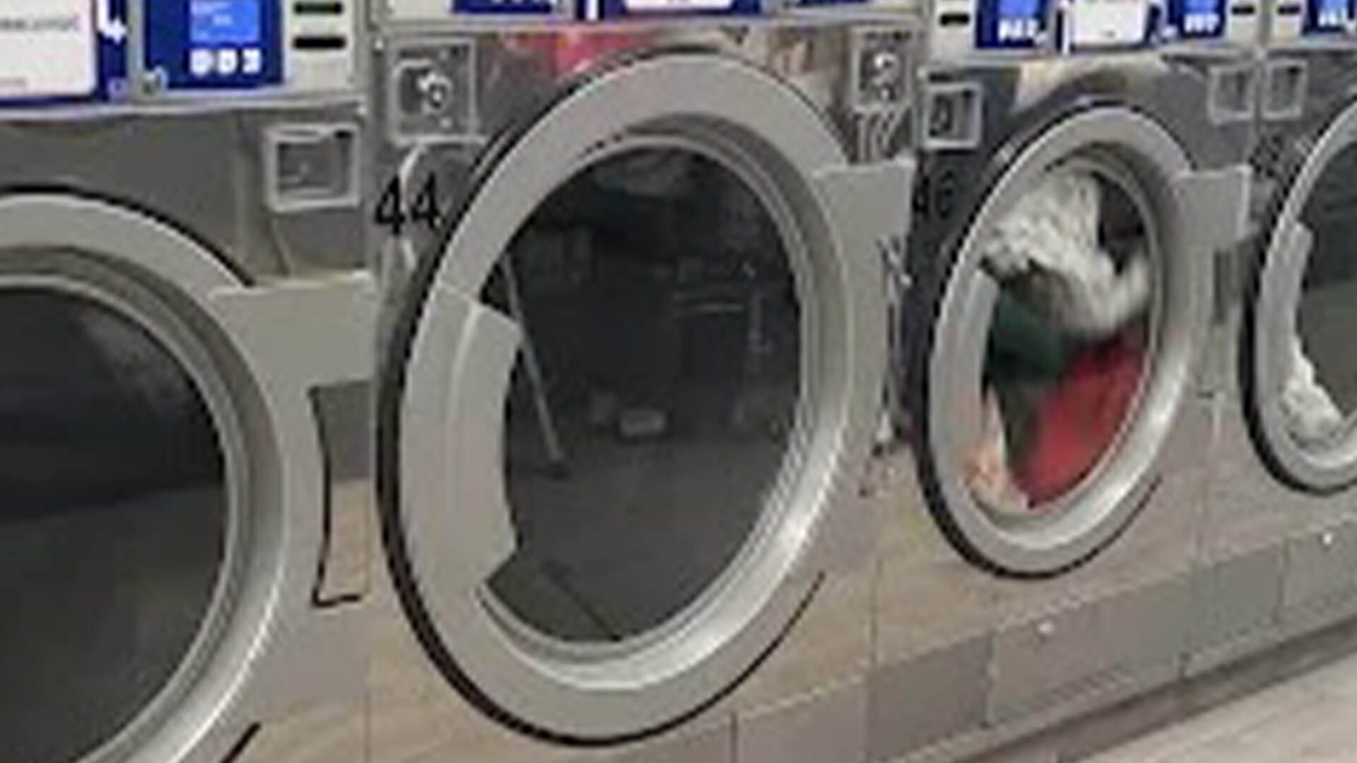Dry Cleaning Service